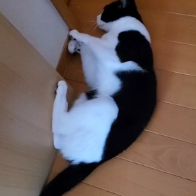 くねん。の画像