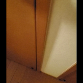 ネズミのおもちゃの画像