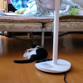 「あ...」...の画像