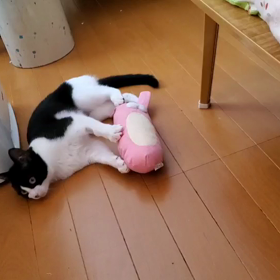 4日目の画像