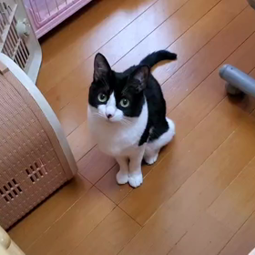 助走？の画像