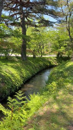 【旅の記録】南湖公園…福島県白河市の記事動画