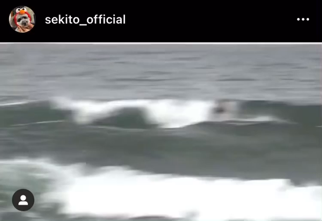 SekitoSakaneの記事動画
