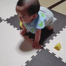 ハイハイ!の画像
