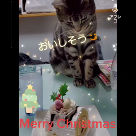 ♪Merry Christmasの画像