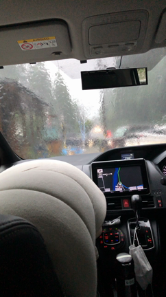 大雨の中バンガロー到着の記事動画