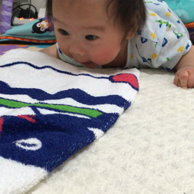 息子の寝返り  続編の画像
