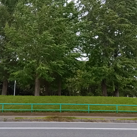 2023/07/15の画像