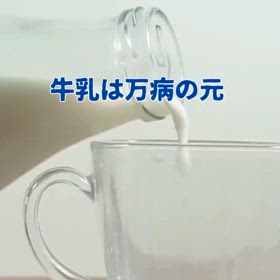 2024/10/22の画像