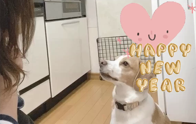 ┝新店舗休業中の新年   変わらないことの記事動画