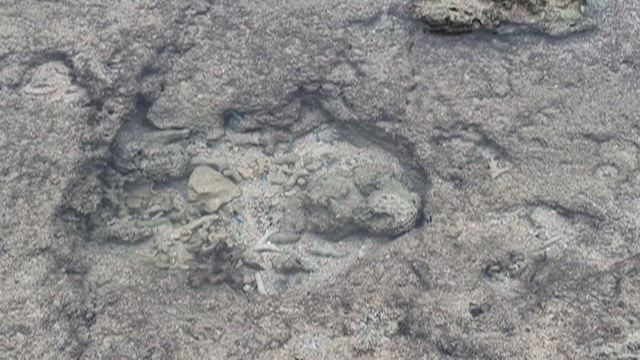暴風雨と静寂のあいだで、私は少しだけ前に進んだ。の記事動画