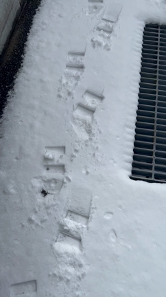 雪が降ったらやりたかった事！！の記事動画