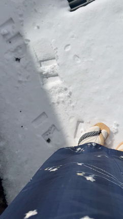 雪が降ったらやりたかった事！！の記事動画
