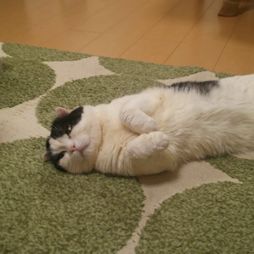 やっとの画像