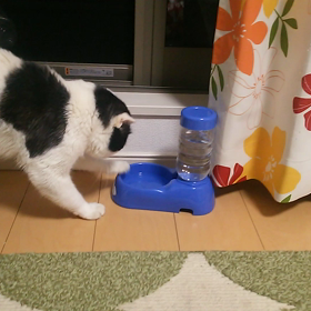水飲みの画像