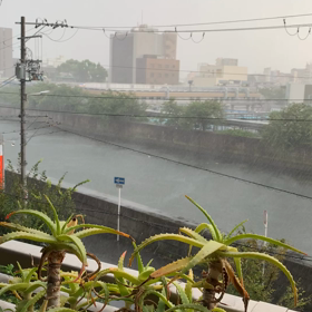 ゲリラ豪 雨だー！の画像