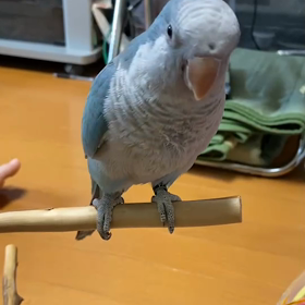 何て？の画像