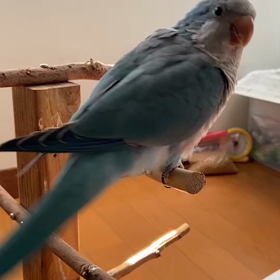 どうです？の画像