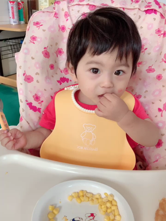 姉弟✩こんなにも食欲やミルクの量が違うのか....の記事動画