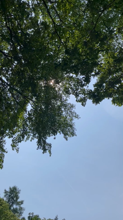 急遽、DAYキャンプの記事動画