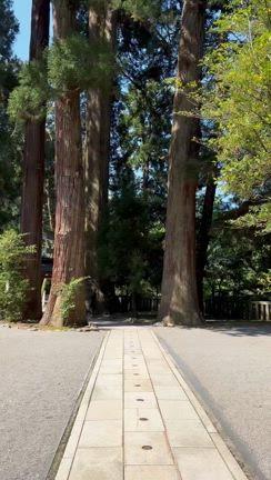 神社でドンドンドンの記事動画