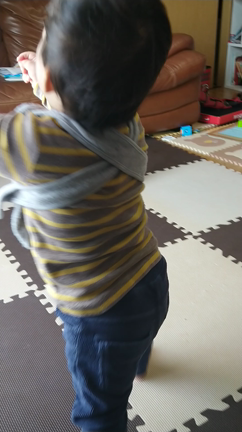 歩き始めました！の記事動画
