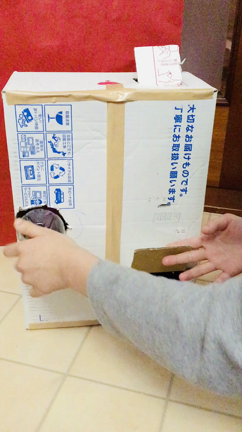 大公開！“ゆかりガチャ”のしくみの記事動画