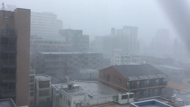 今後の予定の記事動画