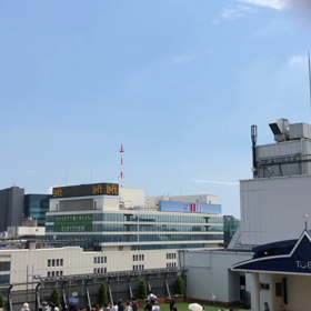 初めての画像