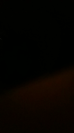 ユイちゃんハッピーバースデー❗❗の記事動画