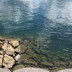 昨日の宇和海の画像