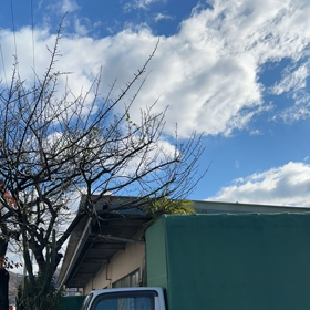 晴れました、の画像