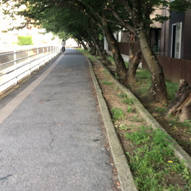 朝散歩しませんかの画像