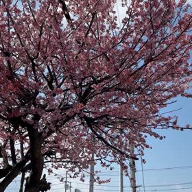 2024/03/01の画像