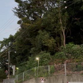 朝の散歩の画像
