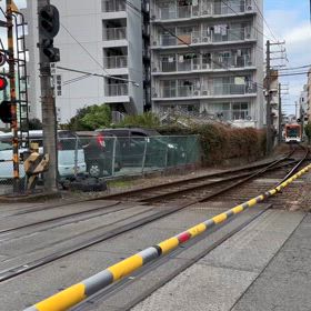 ネルパック電車、やって来ましたの画像