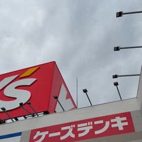 なんの鳥？の画像