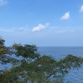 今日の瀬戸内の海は穏やかでしたの画像