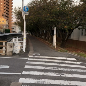 ちょっと歩いてみませんか、の画像