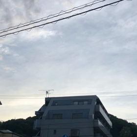 つばめの画像
