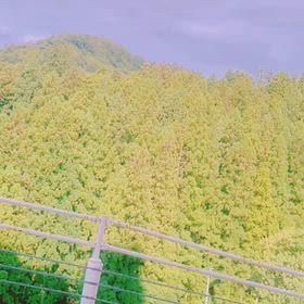 紅葉からスキーまで、秋冬を楽しむもう一つの家の画像