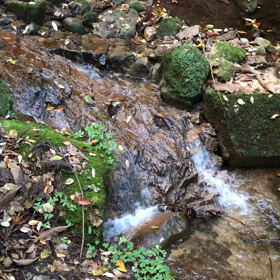 水5の画像