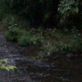 水の音2の画像