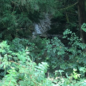 水3の画像