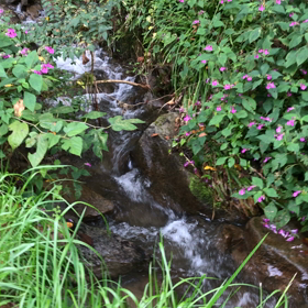 水、2の画像