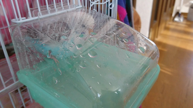 あったかいの記事動画