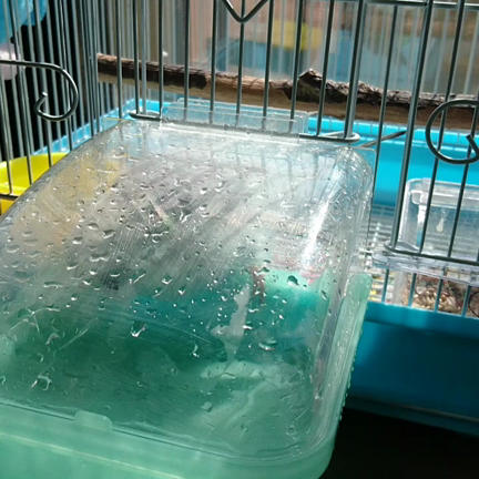 久しぶりの良い天気☀️の記事動画