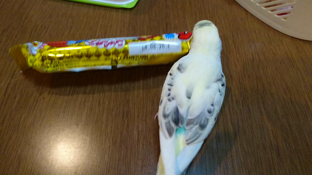 何の味でしょう？の記事動画