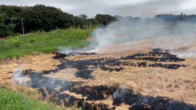 田んぼの藁を燃やしましたの記事動画