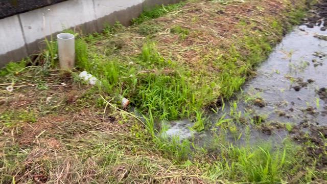 田んぼに水が入りました。の記事動画